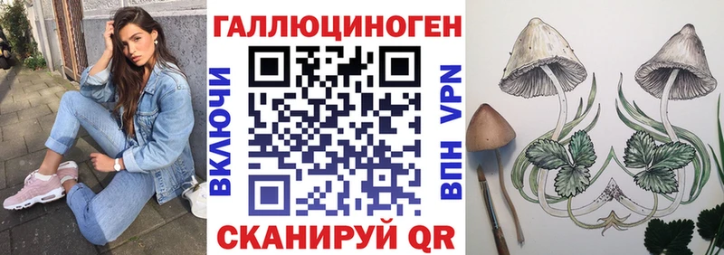 Псилоцибиновые грибы мицелий  Купить закладки  Ленинск 